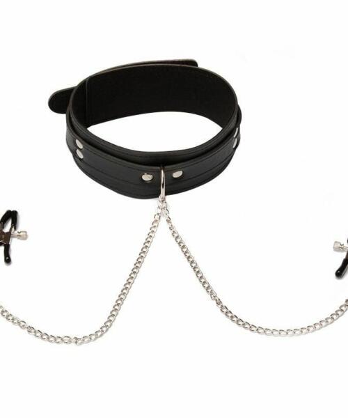 Nipple Clamps & Slave Collar