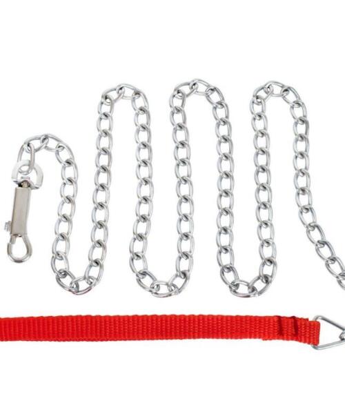 BDSM Obedience Chain Lead