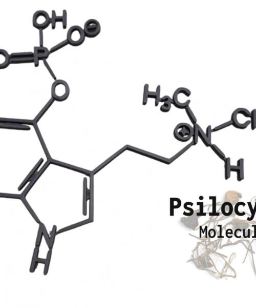 Psylocibin Molecule Wall Art