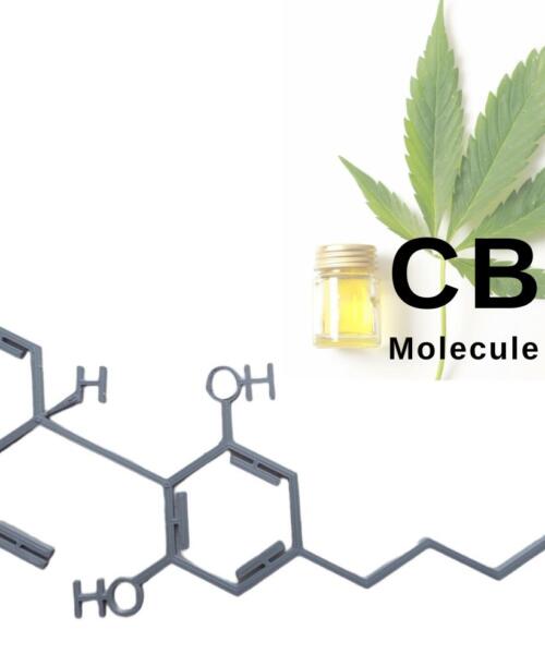 CBD Molecule Wall Art